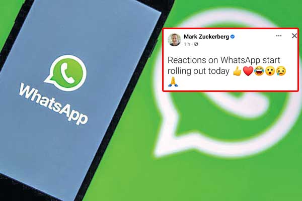 WhatsApp સ્ટેટસનો કાળજીપૂર્વક ઉપયોગ કરો, કંપની વિકલ્પો પર વિચાર કરી રહી છે