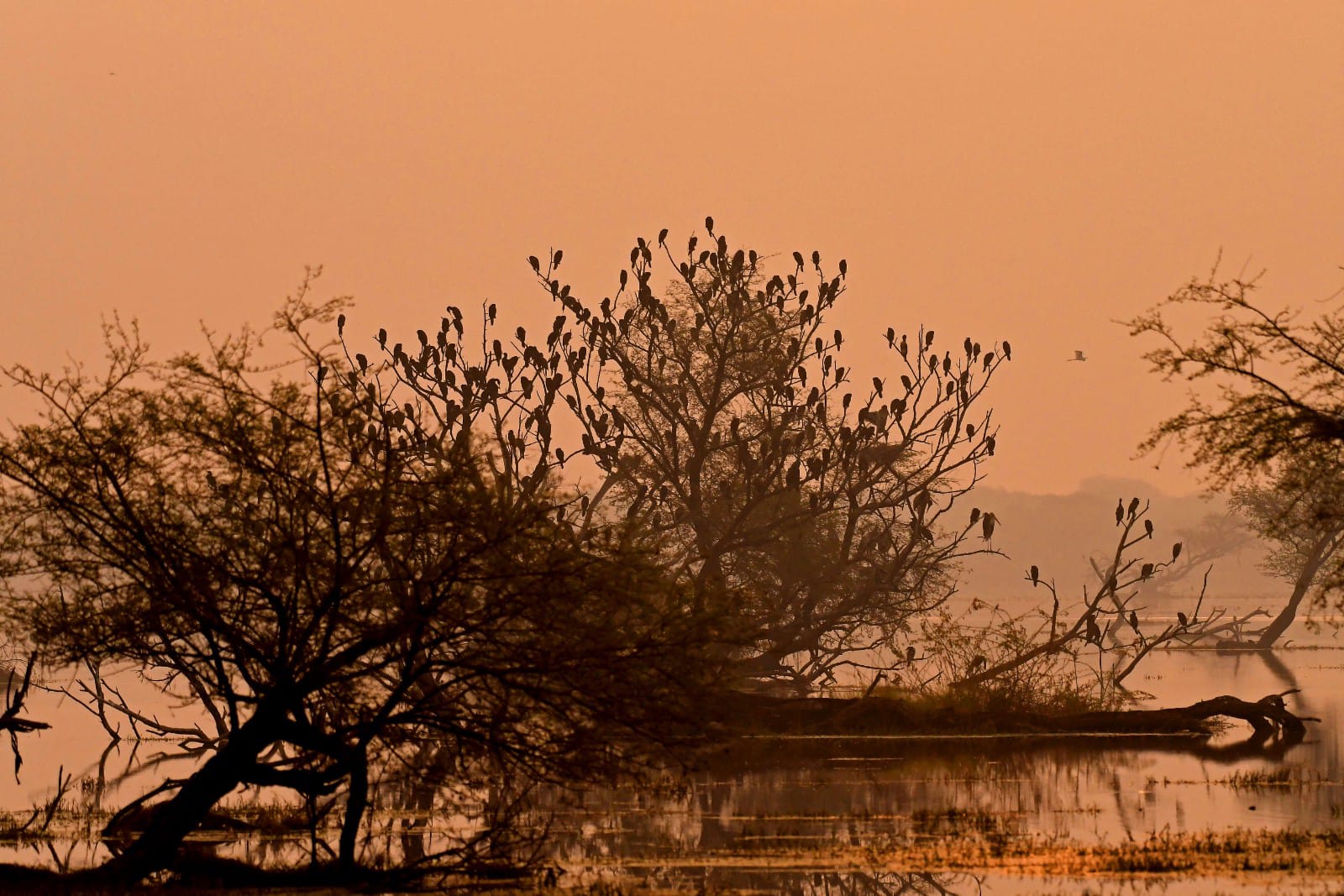 Keoladeo National Park