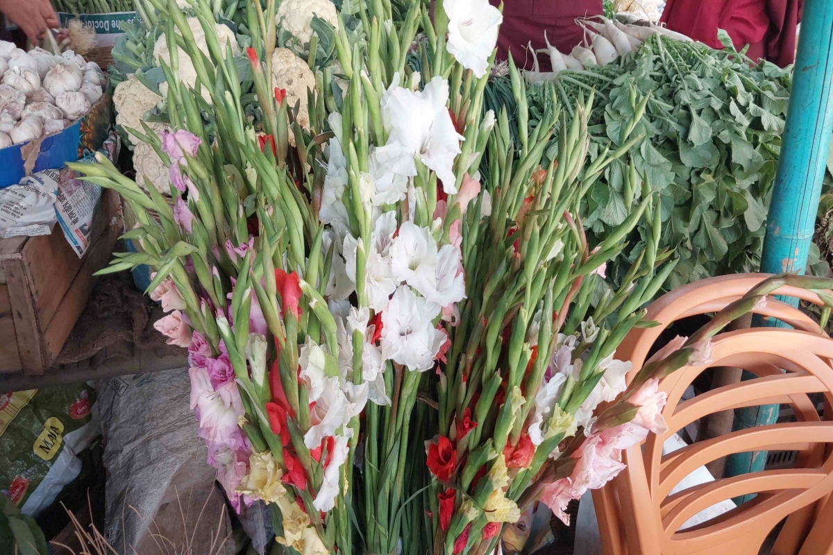 विदेशी फूलों से सजी बाजार