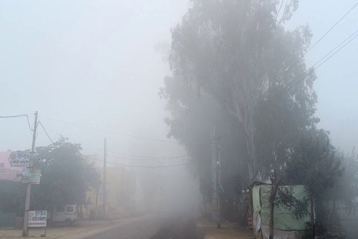 speed of vehicles stopped due to fog