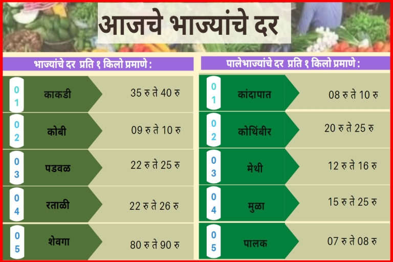 Vegetables rate Today