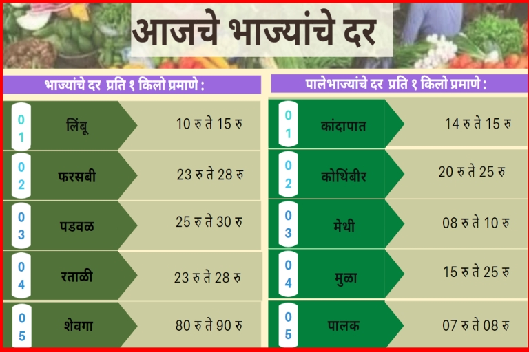 Vegetables Rate Today