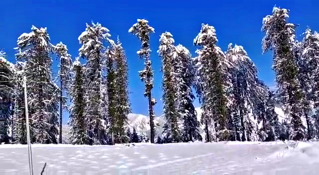 Fresh snowfall in Pangi Bharmour.