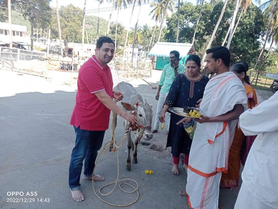Exvoto is fulfilled. a devotee who came from Canada to Madappa Hill and gave a cow as a gift