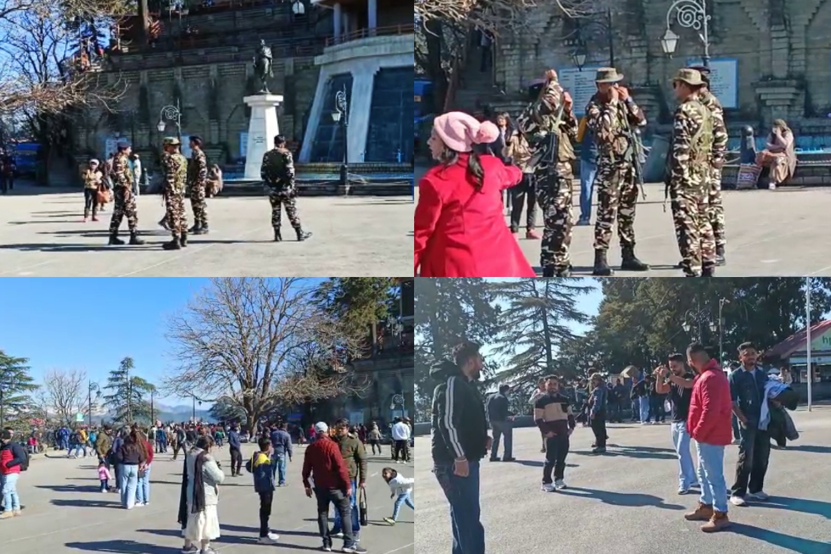 tourists coming to Shimla
