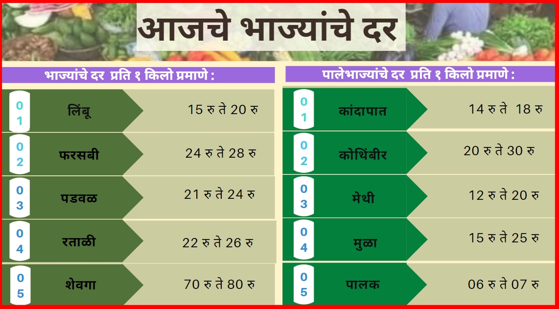 Vegetables Rates Today