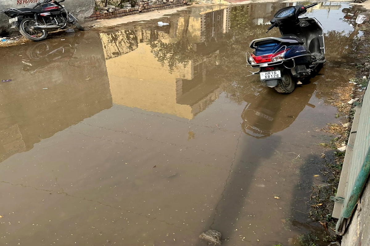 Sewerage problem in Bhiwani Bhagat Singh Chowk in Bhiwani Bhiwani news update