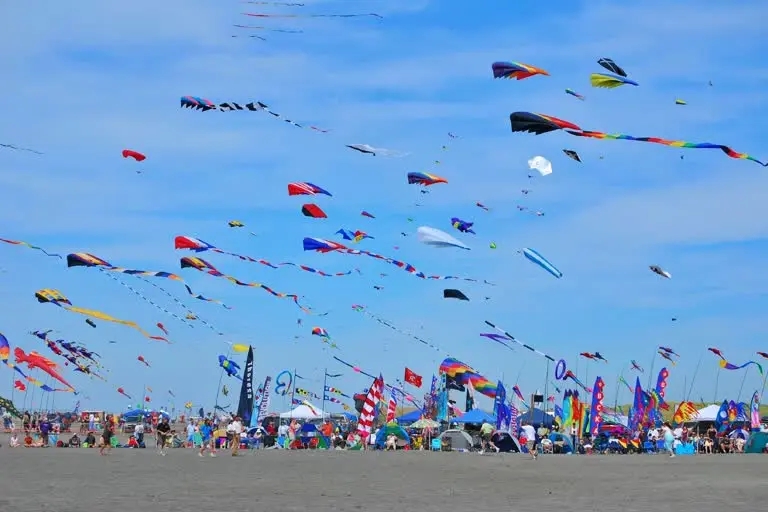 International Kite Festival 2023