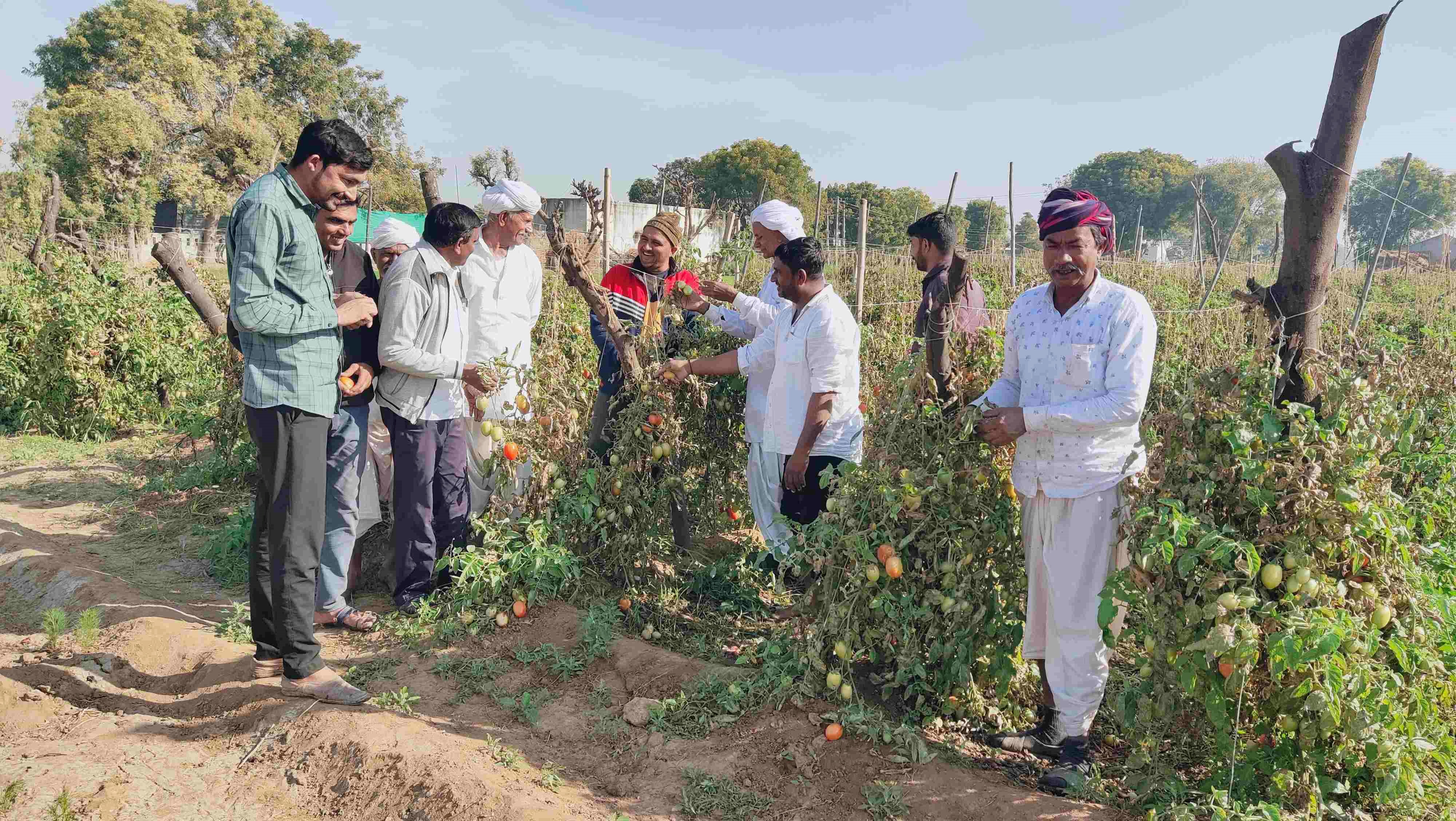 બનાસકાંઠાના ખેડૂતો બેહાલ