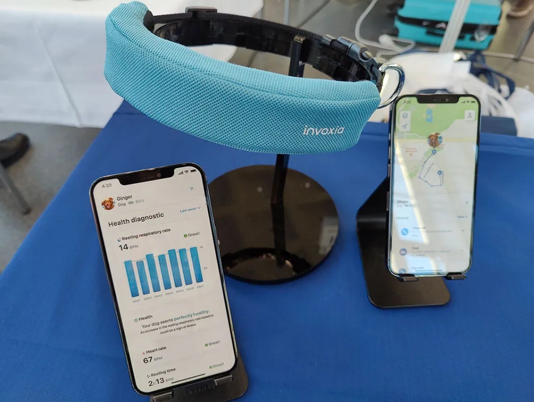 Smart dog collar from Invoxia