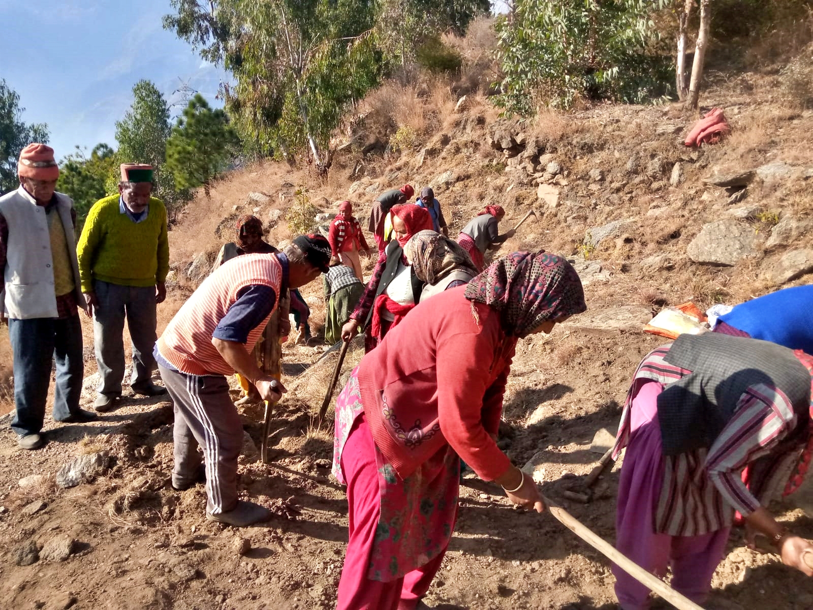 MGNREGA workers online Attendance in Rampur.