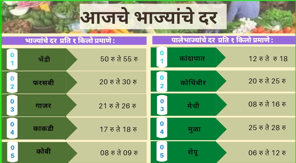 Vegetables rates today