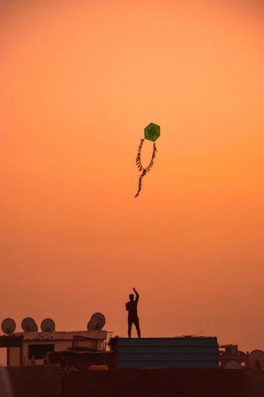 Uttarayan in Gujarat is also popular for its International Kite Flying Festival