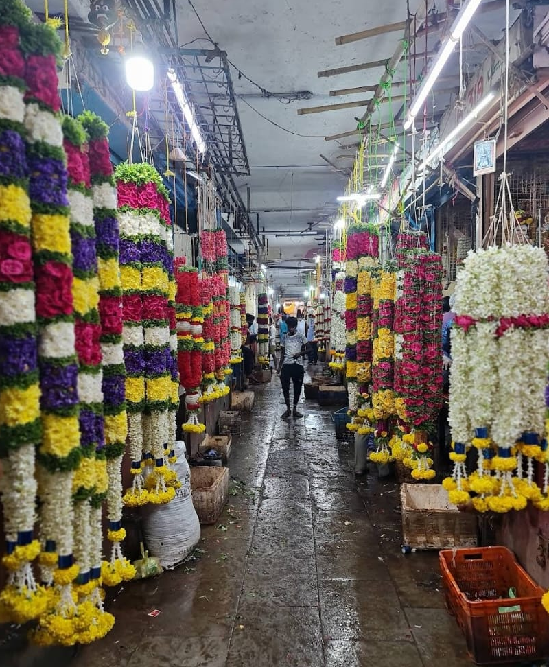 Sankranti festival celebration at Bengaluru