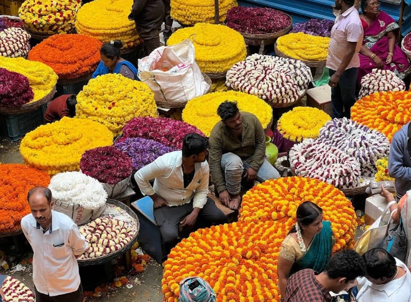 Sankranti festival celebration at Bengaluru