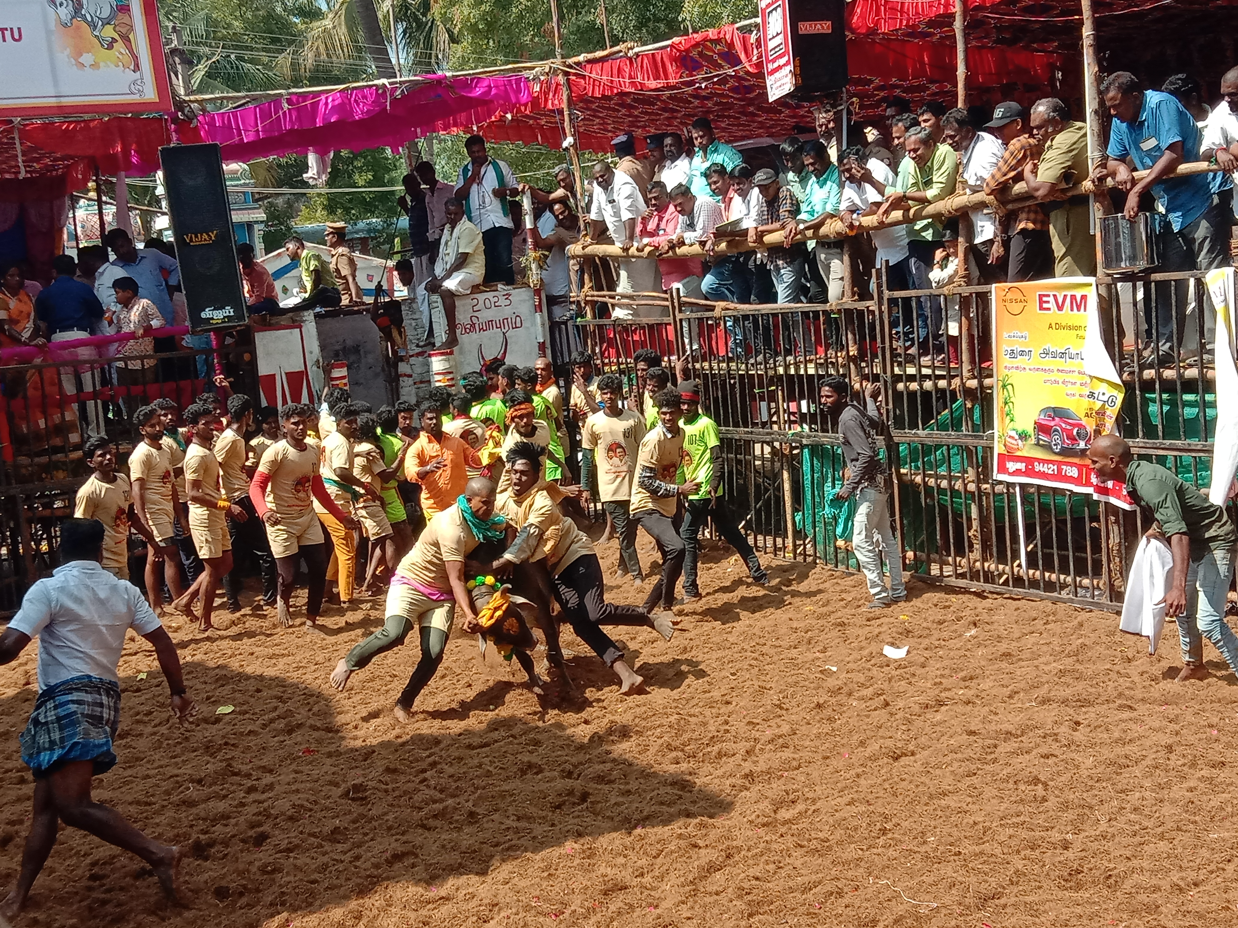 മധുര ജല്ലിക്കട്ട്  മധുര ജല്ലിക്കട്ട് മത്സരം  തമിഴ്‌നാട്ടിലെ മധുര  tamil nadu madurai jallikattu  madurai jallikattu winner gets trophy with car