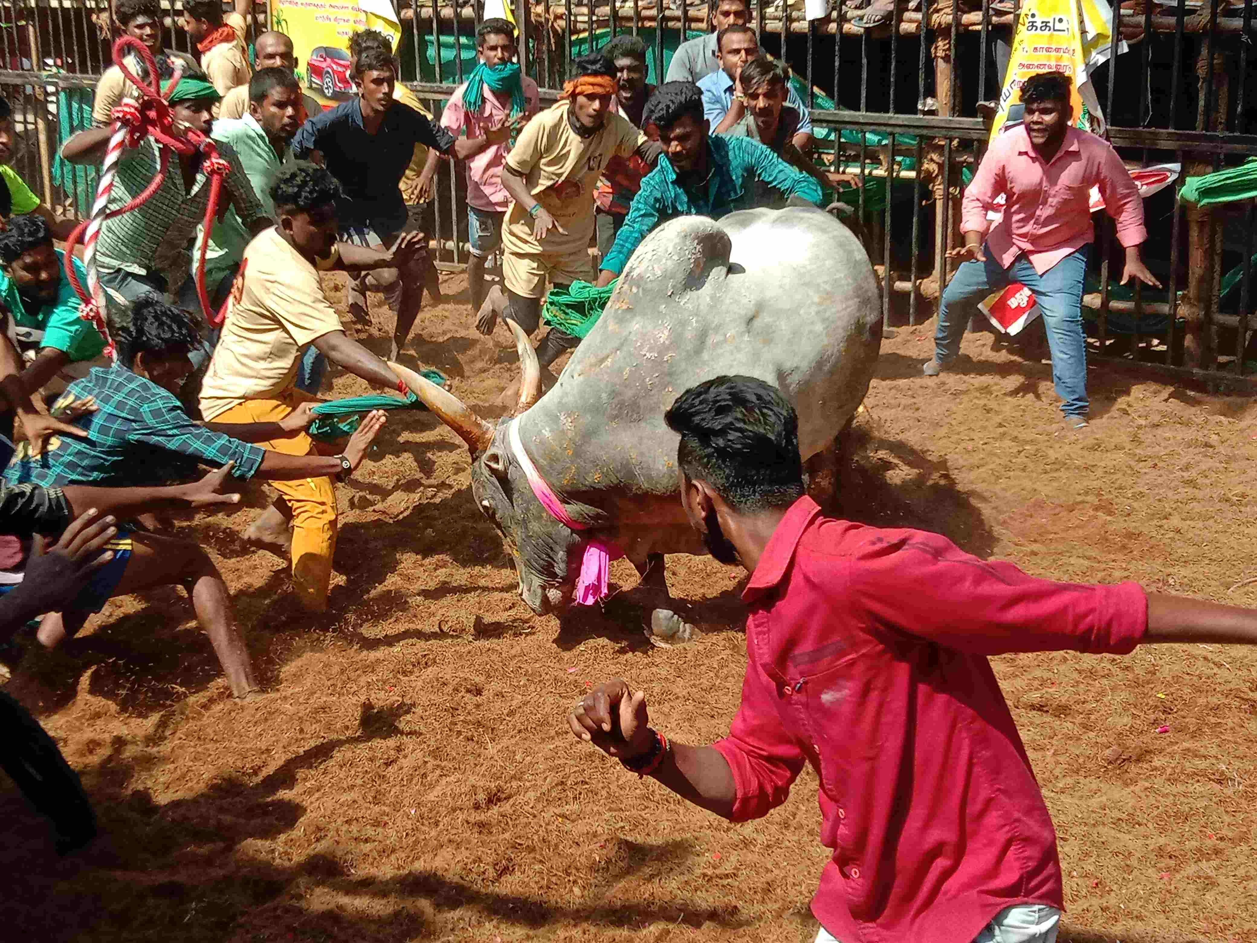 300 થી વધુ કેચરોએ ભાગ લીધો