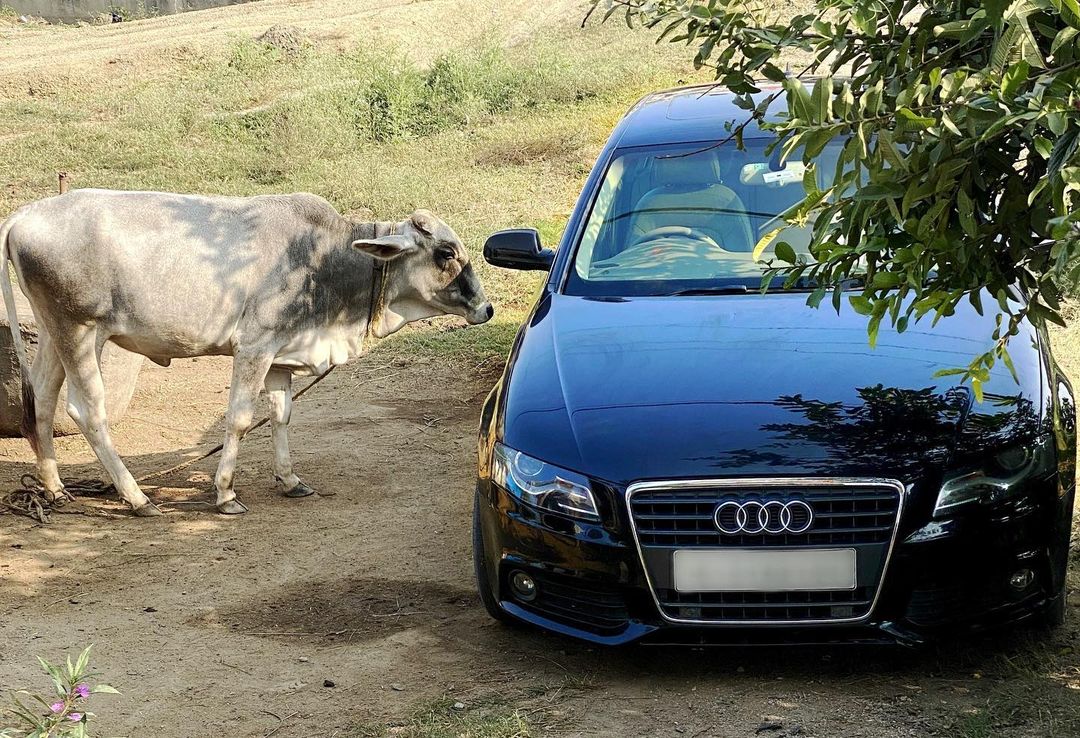 Bihar boy buys an Audi worth Rs 50 lakh from YouTube earnings  Bihar village youth buys an Audi  YouTube earnings story  യൂട്യൂബ് വരുമാനവുമായി യുവാവ്  ഹര്‍ഷ്‌രാജ്‌പൂത്ത് യൂട്യൂബില്‍  ഓഡി എ4  യൂട്യൂബില്‍ കൂടി വലിയ വരുമാനം നേടിയ വാര്‍ത്ത  Dhakad News  Harsh Rajput