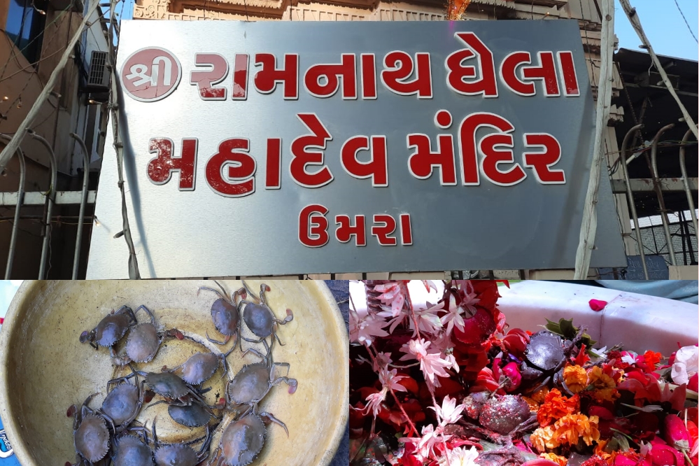 રામનાથ-ઘેલા મંદિરમાં પોષી એકાદશીએ શિવજી પર જીવતાં કરચલાંથી અભિષેક