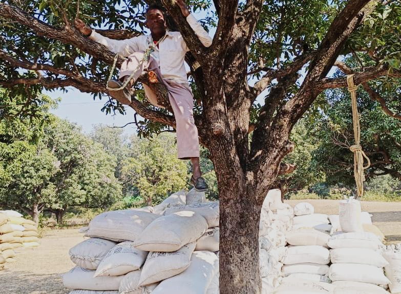 Farmer of Satna Upset