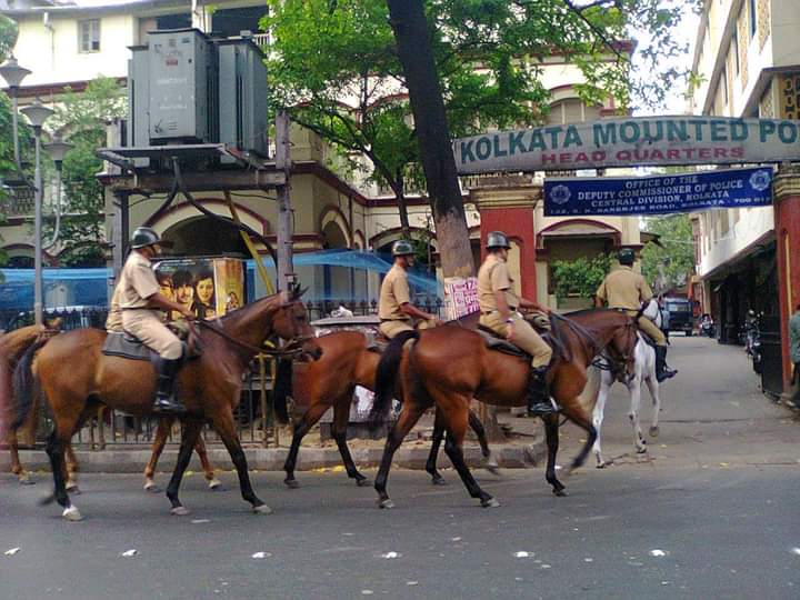 Kolkata Mounted Police ETV Bharat