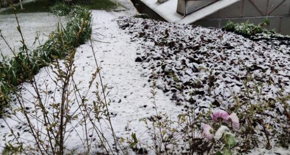 Heavy snowfall in Mussoorie