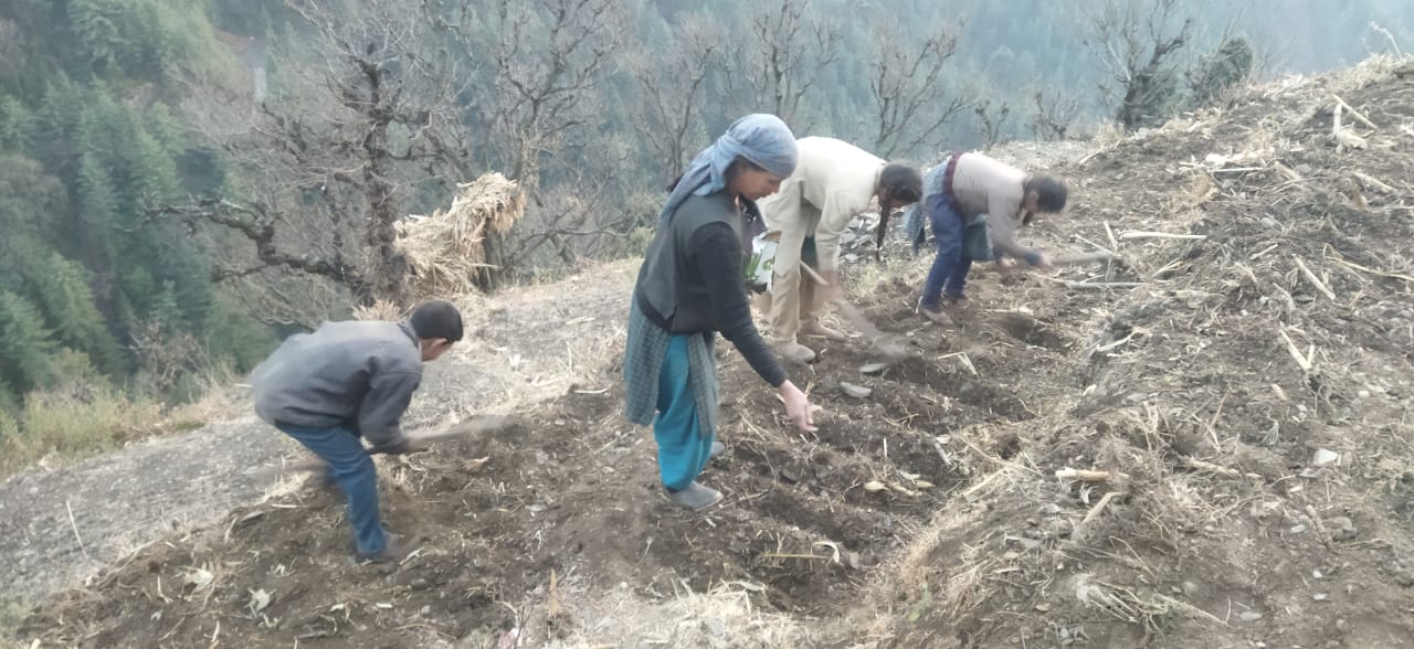 heavy snowfall in seraj