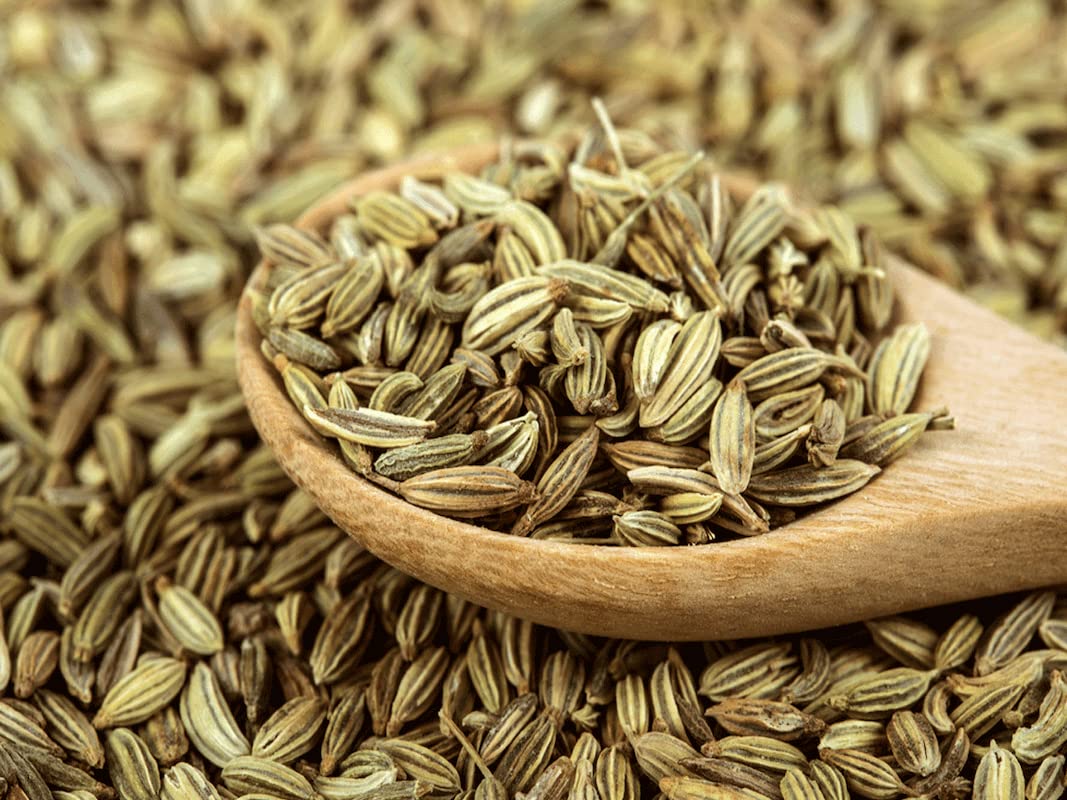 Fennel, also known as saunf, is a very common spice in Indian cuisine and is effective against a variety of viruses that may cause respiratory tract infections and prolonged fevers. The presence of a substance known as trans-anethole causes fennel extracts to have potent antiviral properties. Additionally, it may strengthen your immune system to help you recover more quickly from the infection that is thought to be the main contributor to your chronic fever. (ANI)