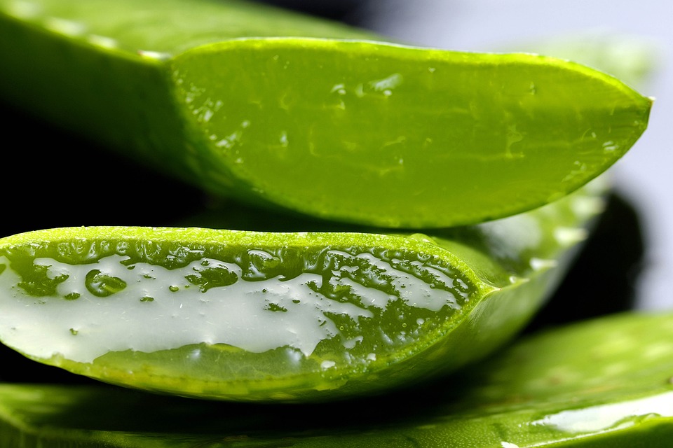 Aloe Vera Gel: