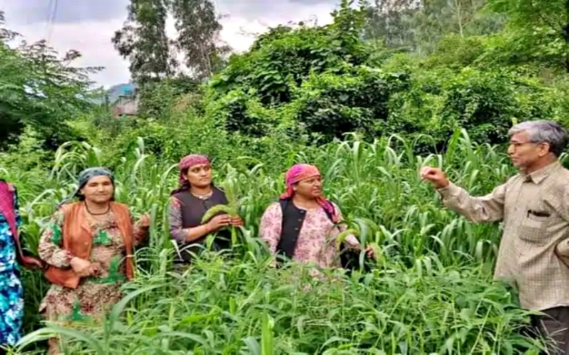 मंडी के करसोग से संबंध रखते हैं किसान नेकराम शर्मा.