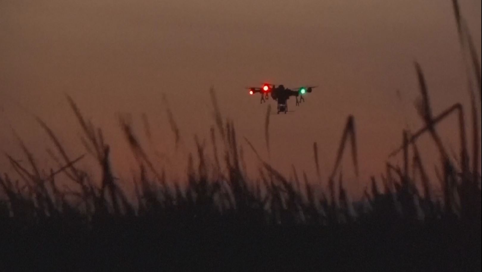 Pesticides Spray Using Drone On Attacking Birds In Kenya