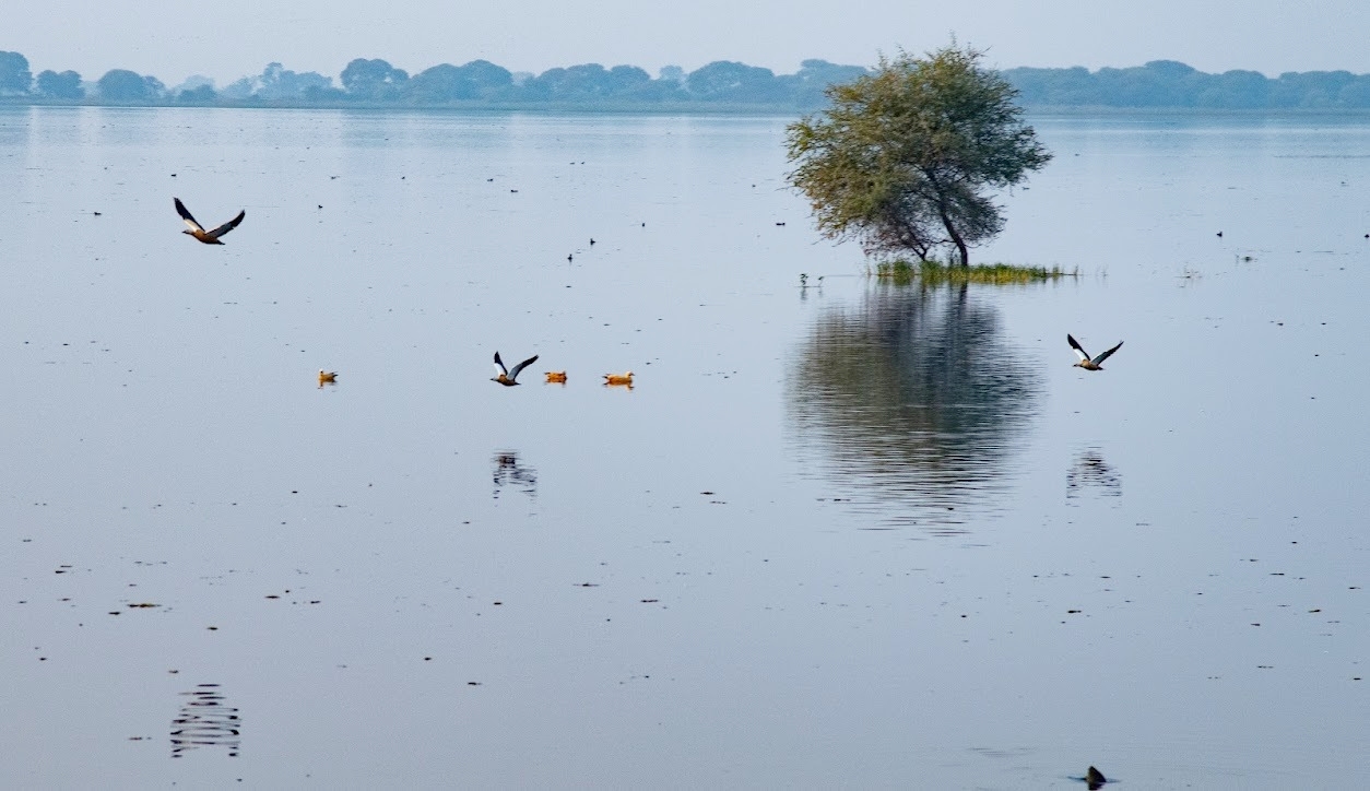 વઢવાણ તળાવ માનવનિર્મિત રામસર સાઈટ