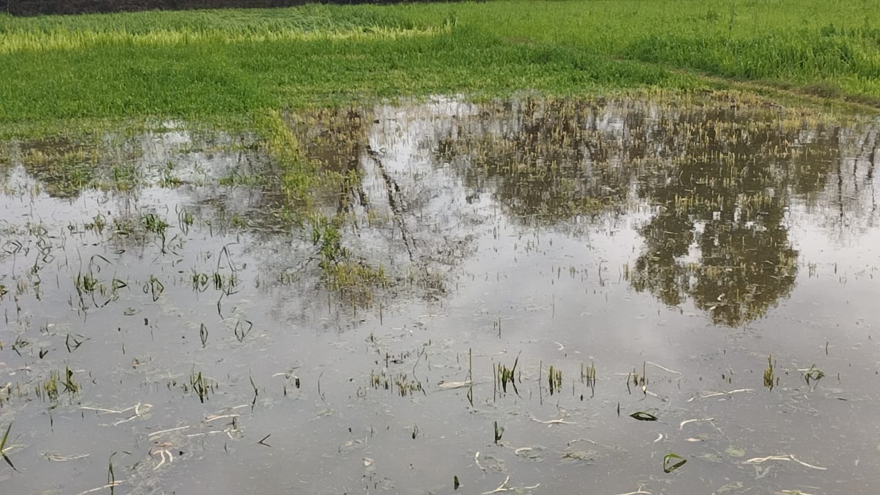 Hailstorm in Rajasthan