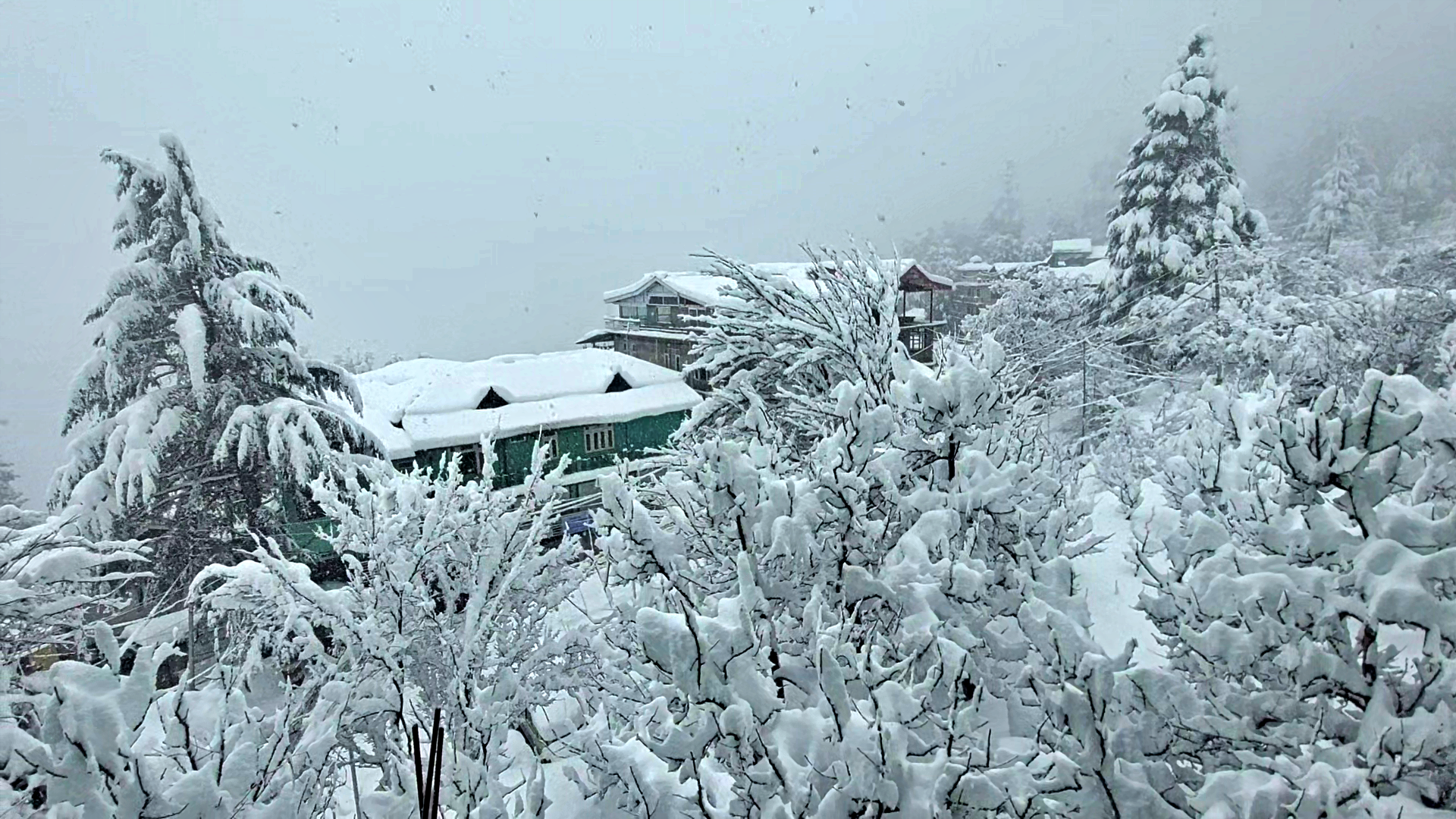 Snowfall in Kinnaur.