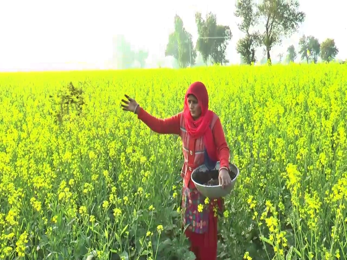 Manju doing low cost farming