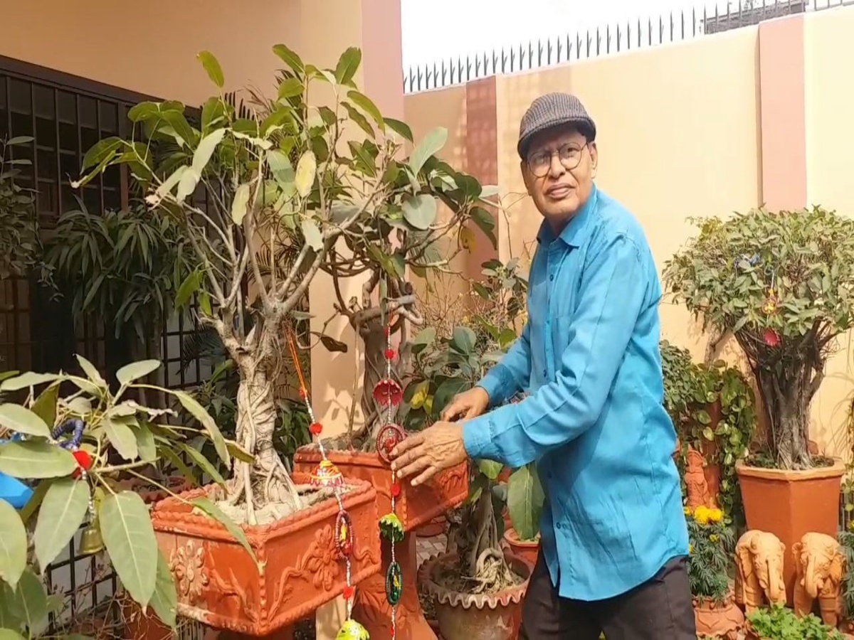 retired bank officer develops Bonsai garden