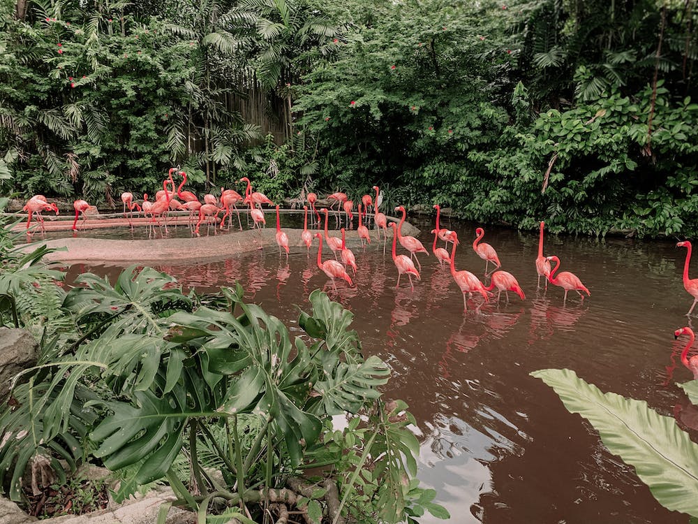 World Wetlands Day is celebrated each year on 2 February