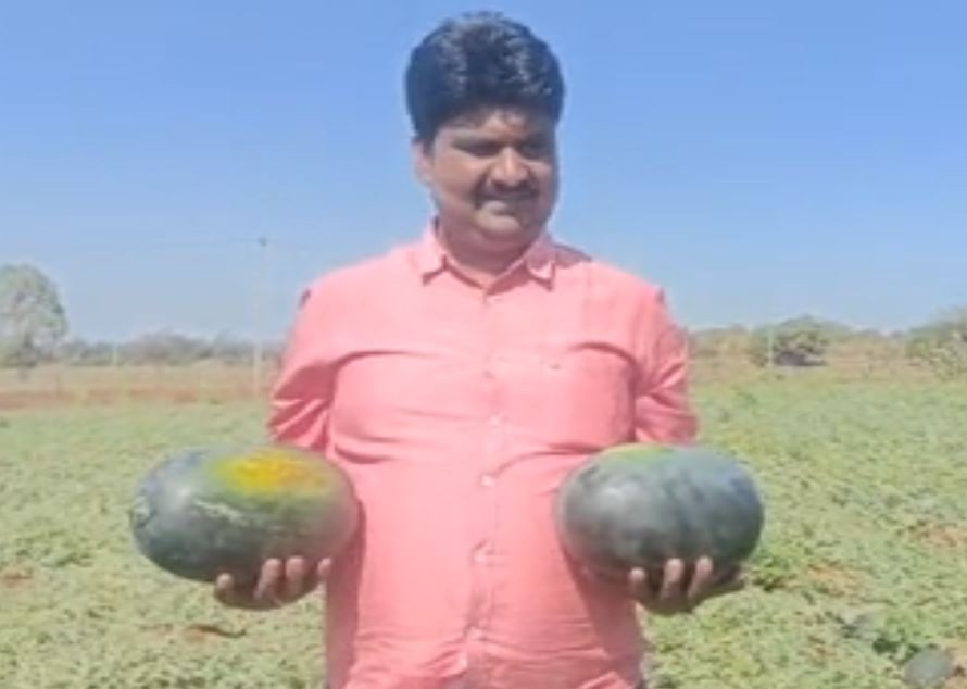 A young farmer grew a bountiful watermelon in Bidar