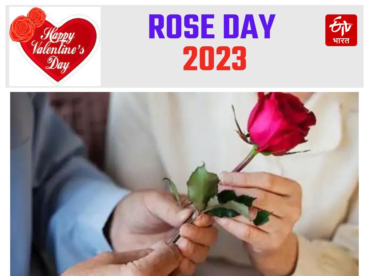 Rose Day 2023