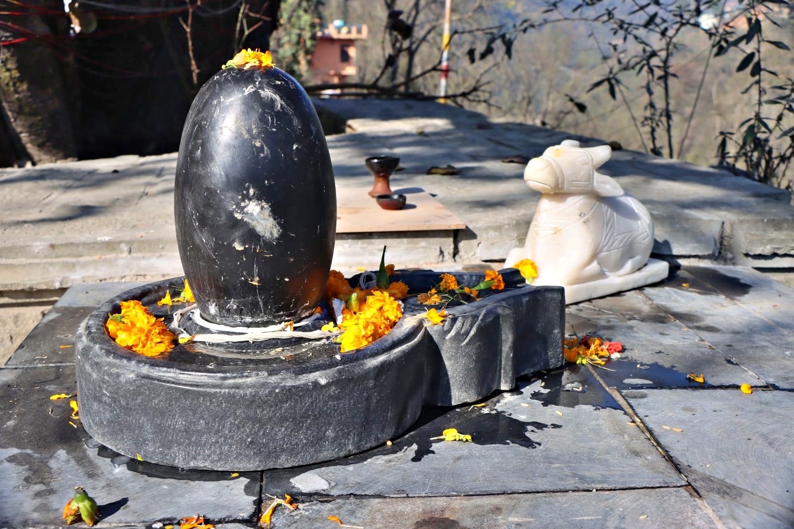 Shivling and Nandi Idol thrown in bradhiveer of Mandi