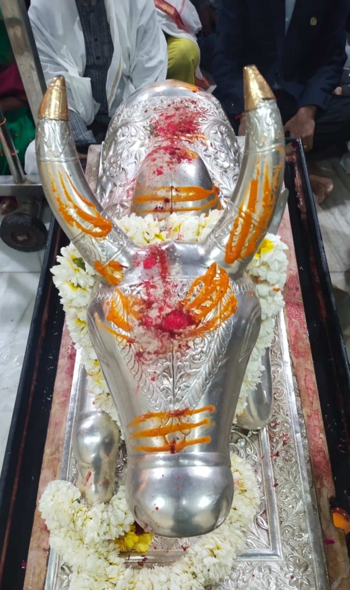 Darshan of Nandi Maharaj