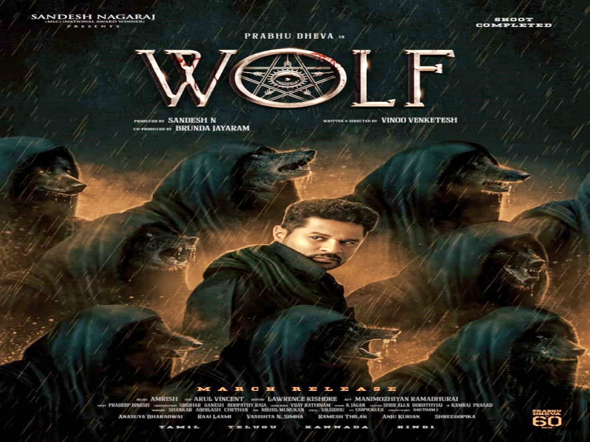 Wolf film has created a lot of curiosity among the audience.