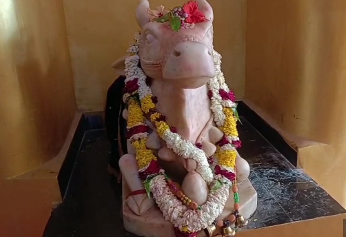 Nandi Maharaj in the temple