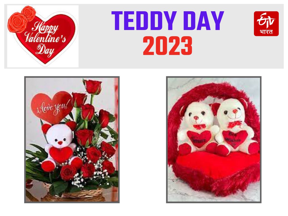 Teddy Day 2023