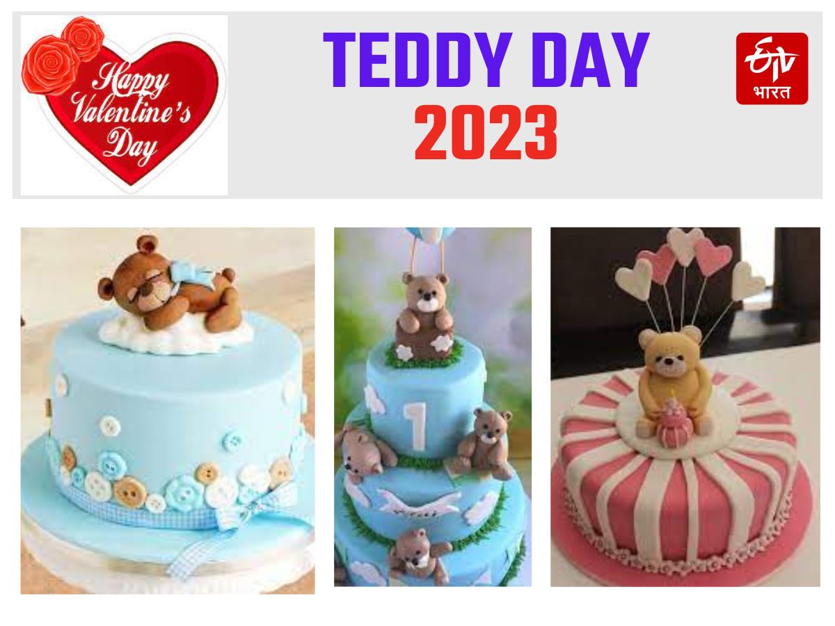 Teddy Day Special Cake