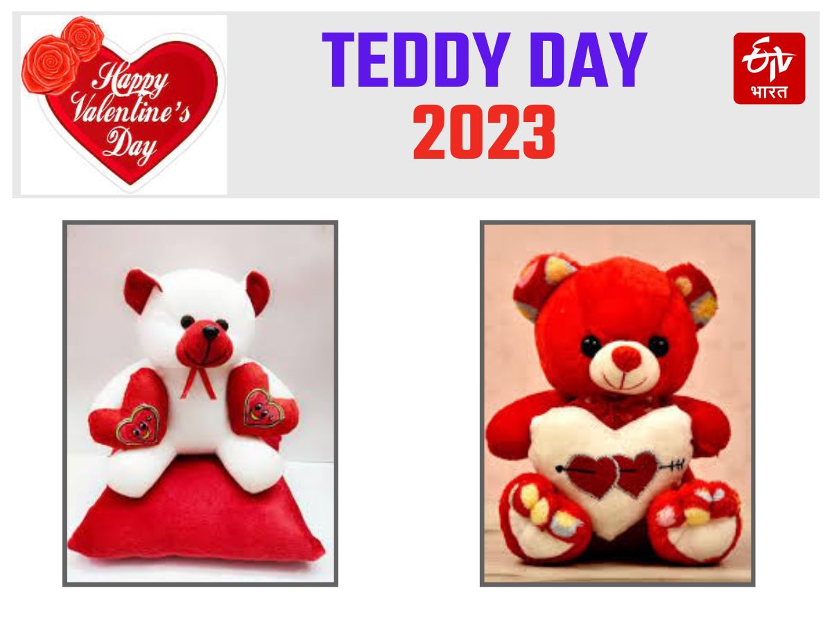 Teddy Day