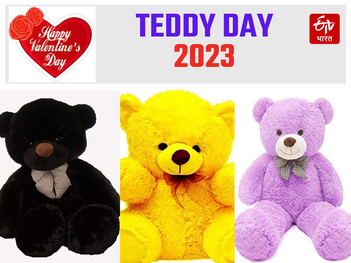 Teddy Day 2023