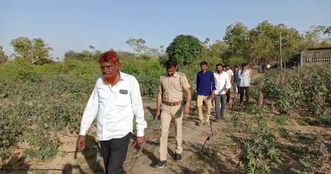 Leopard in Patan: સિદ્ધપુરના સમોડામાં દીપડો દેખાતા લોકોમાં ફફડાટ, તંત્રની ઢીલી કામગીરી