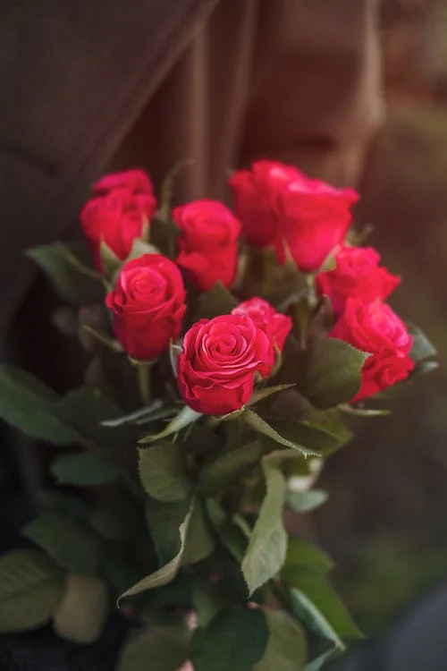 Valentine's day is incomplete without a bouquet of red roses. How expensive your gifts might be, a single rose or a bunch of flowers will surely bring a smile to the face of your loved one...(ANI)