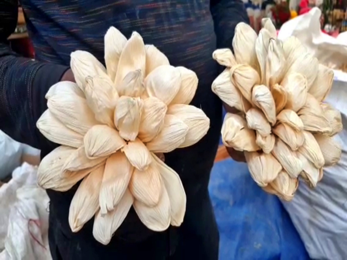 Softwood flowers at Surajkund mela